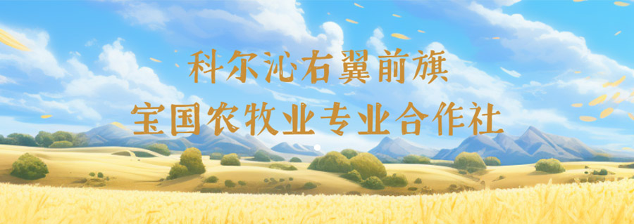 科爾沁右翼前旗寶國(guó)農(nóng)牧業(yè)專業(yè)合作社